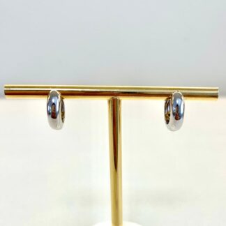 Brinco Argola Lisa P de Prata 925