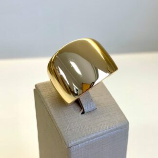 Anel Liso Banhado Ouro18k