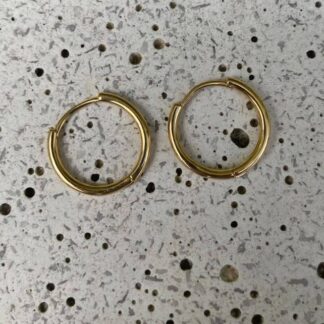 Brinco Argola Banhado a Ouro 18K M