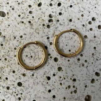 Brinco Argola Banhado a Ouro 18K P