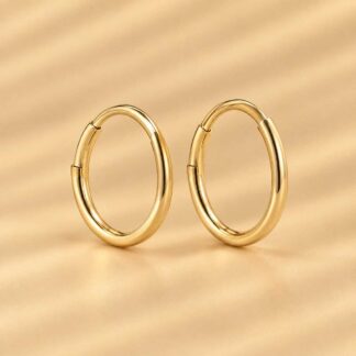 Brinco Argola Banhado a Ouro 18K G