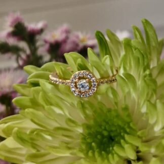 Anel Cravejado de Zircônias Brancas Banhado a Ouro 18K